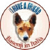 Basenji delle Case Rosse